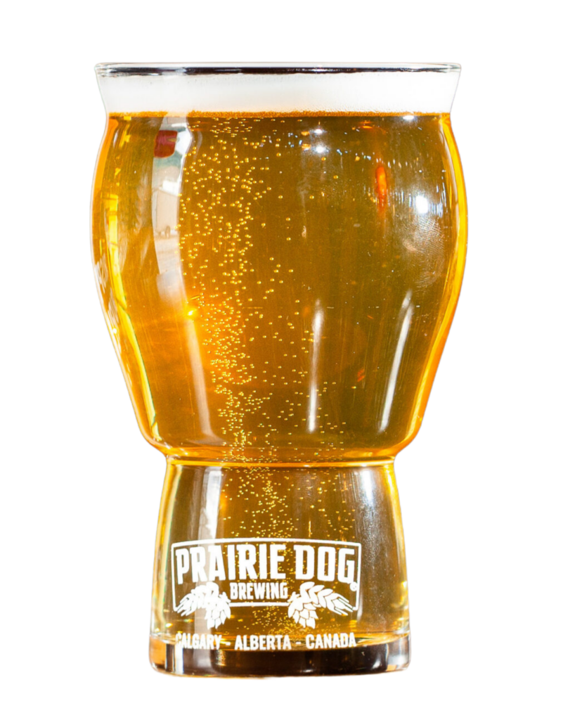 Prairie Dog Brewing's Crispy Gurl Cold IPA beer in a branded beer glass.