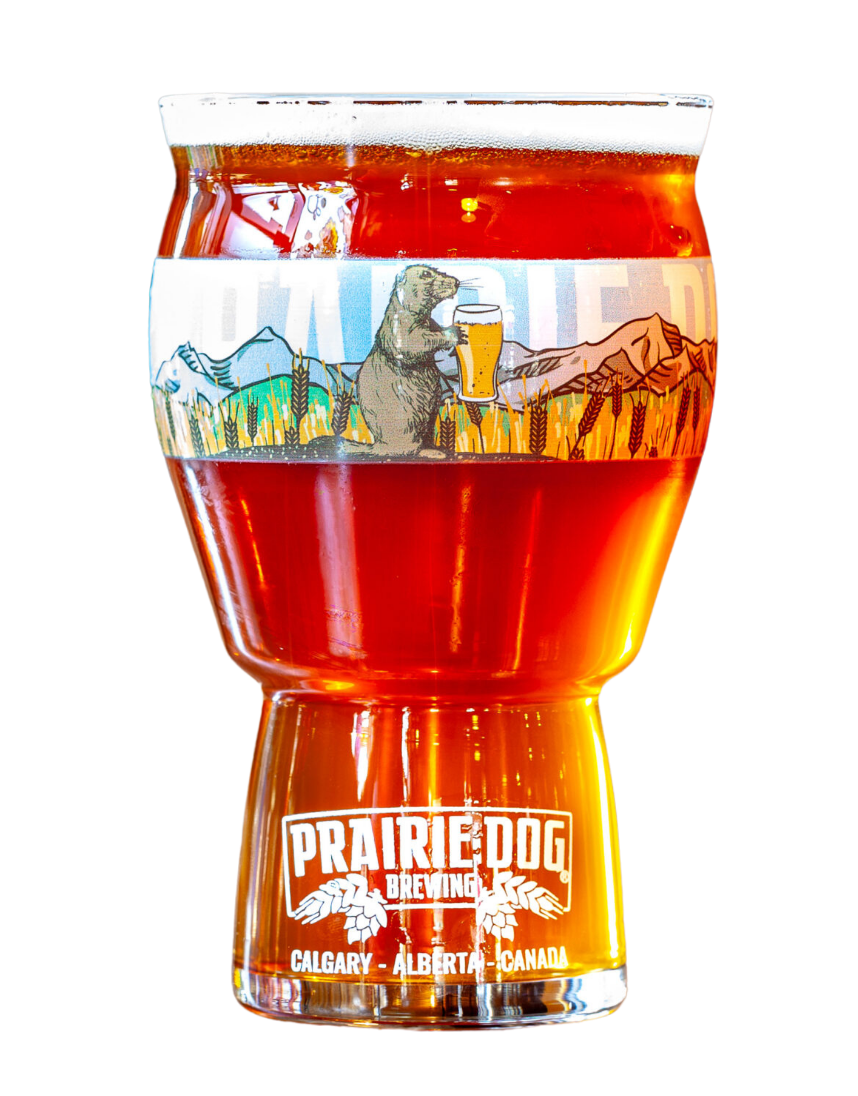 Prairie Dog Brewing's Tail Twitcher west-coast-style IPA in a beer glass.