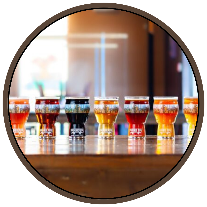 A side-by-side view of Prairie Dog Brewing beer in pint glasses on a table, including reds, IPAs, stout, wheat beer.