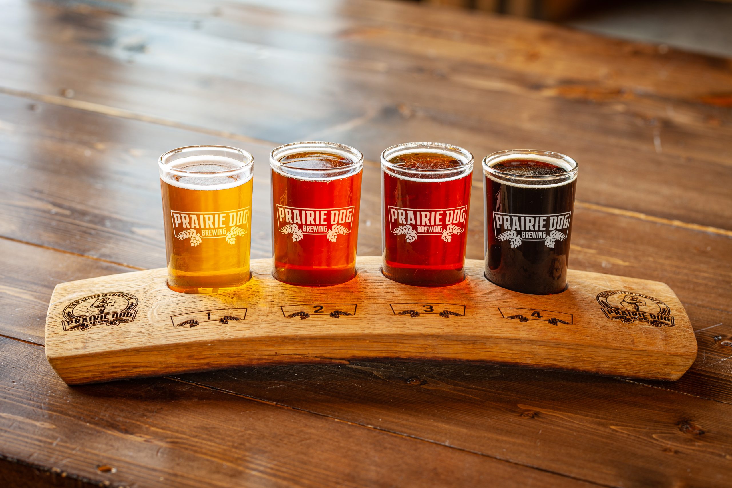 Beer 101 Educational Workshop