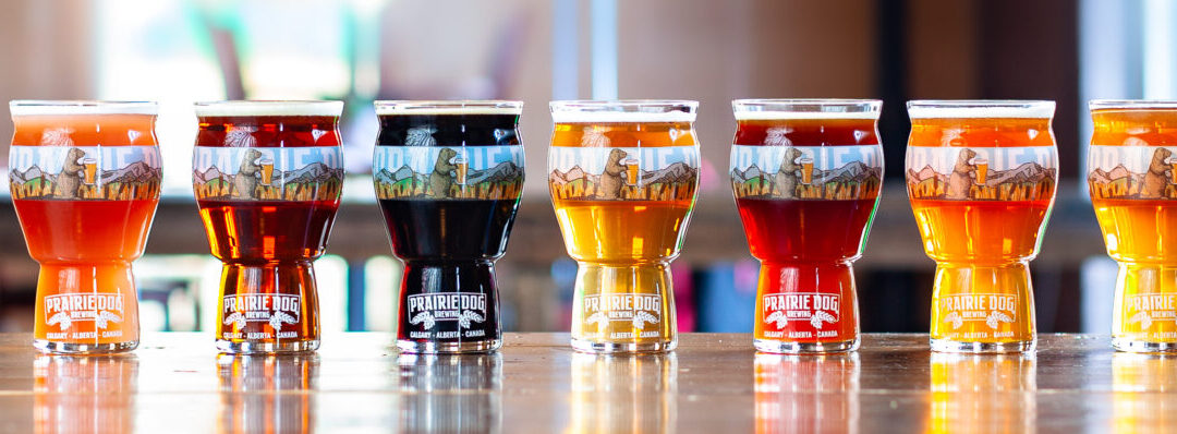 Beer 101 Educational Workshop